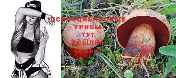ГАЛЛЮЦИНОГЕННЫЕ ГРИБЫ Бугульма