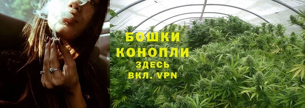 a pvp Бородино