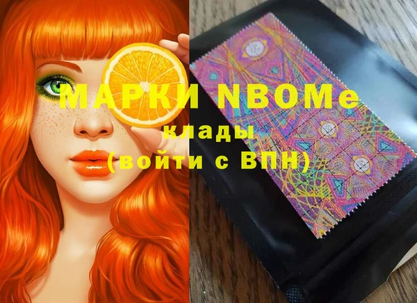 a pvp Бородино