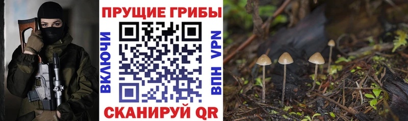mega онион  Саратов  Псилоцибиновые грибы Magic Shrooms  хочу наркоту 