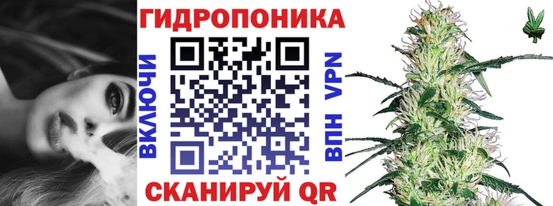 Канабис сатива  как найти закладки  Саратов 